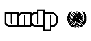 undp-logo-png_seeklogo-144831